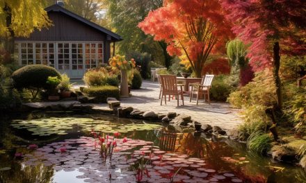 Comment préparer l’automne pour son bassin de jardin ?