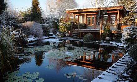 Comment préparer l’hiver pour son bassin de jardin ?